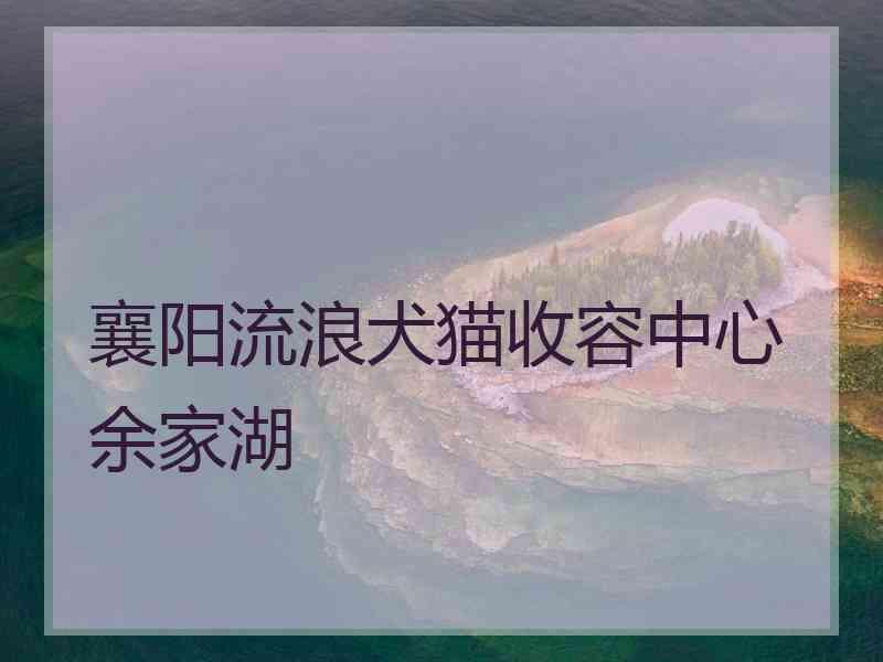 襄阳流浪犬猫收容中心余家湖