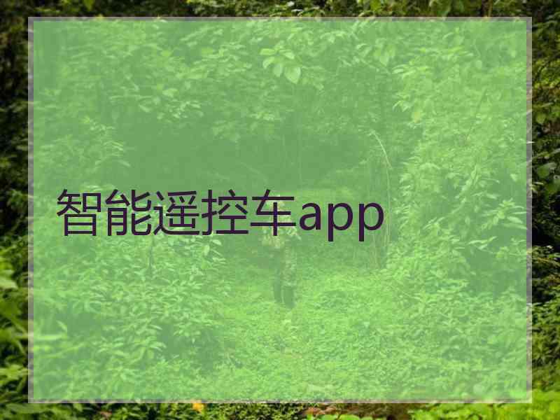 智能遥控车app