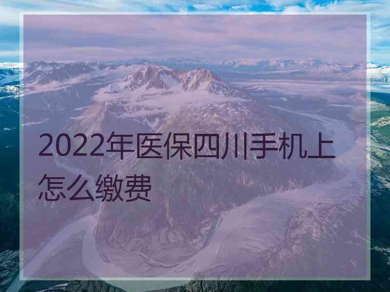 2022年医保四川手机上怎么缴费