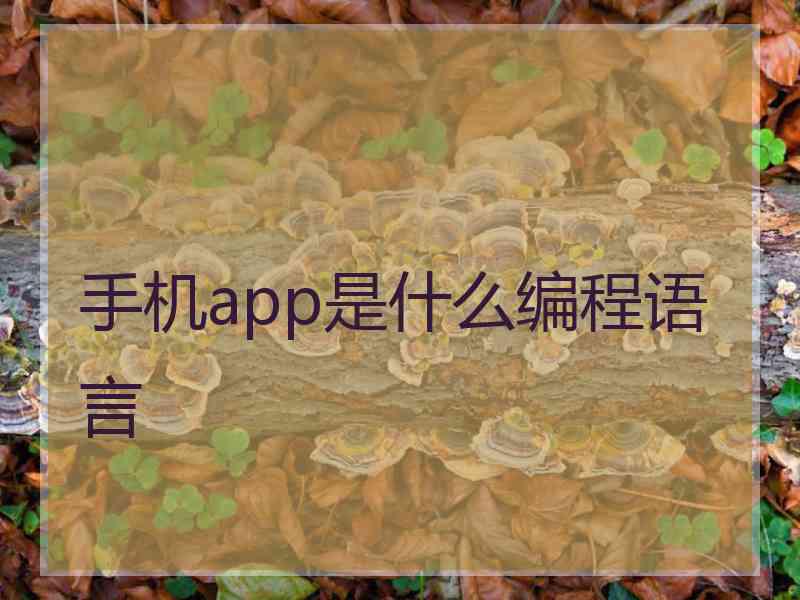 手机app是什么编程语言