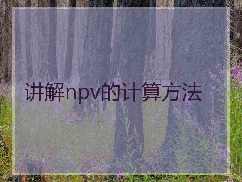 讲解npv的计算方法