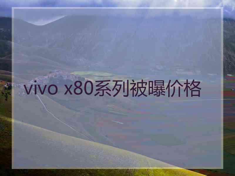 vivo x80系列被曝价格