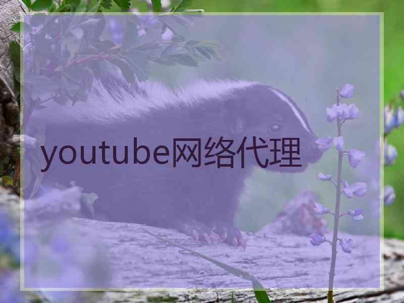 youtube网络代理