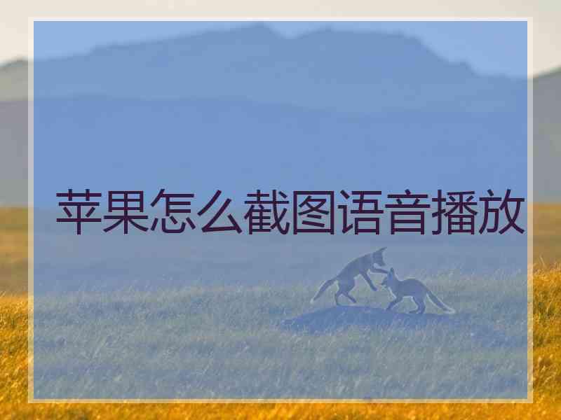 苹果怎么截图语音播放