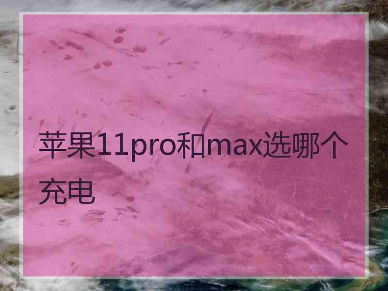 苹果11pro和max选哪个充电