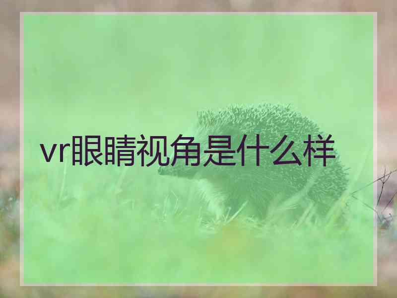 vr眼睛视角是什么样