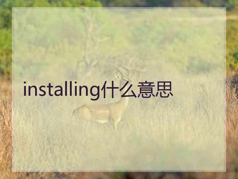 installing什么意思