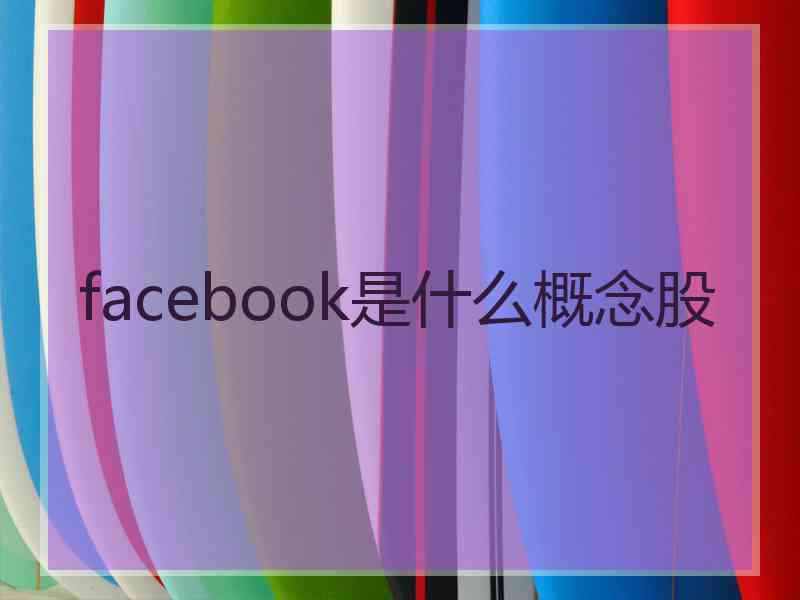 facebook是什么概念股