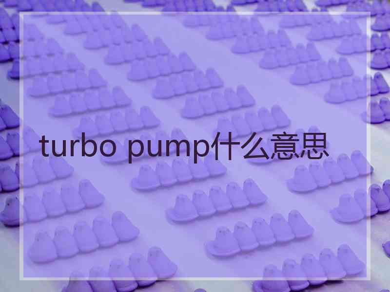 turbo pump什么意思