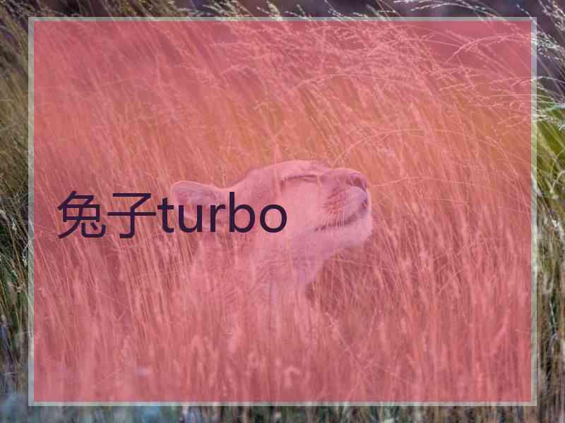 兔子turbo