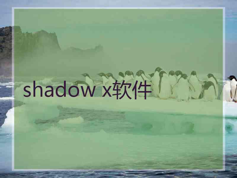 shadow x软件