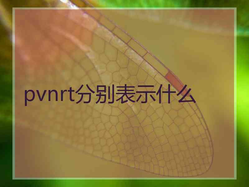 pvnrt分别表示什么