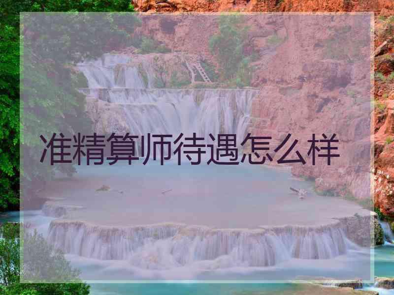 准精算师待遇怎么样