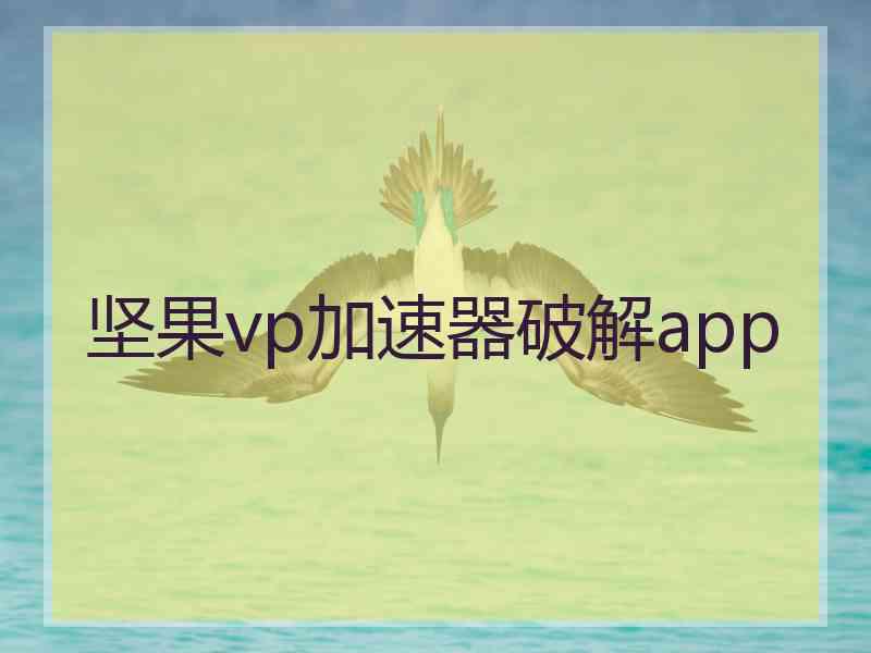 坚果vp加速器破解app