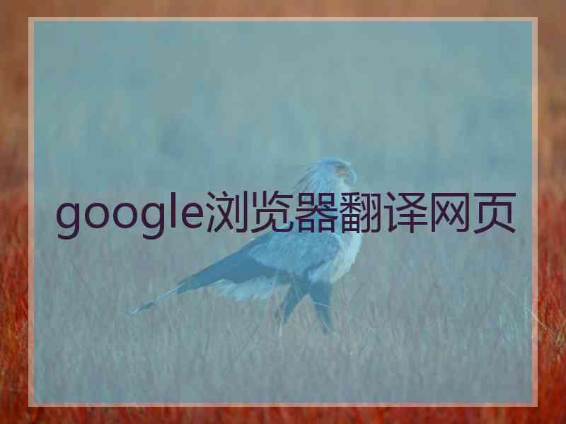 google浏览器翻译网页