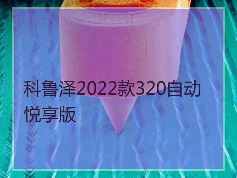 科鲁泽2022款320自动悦享版