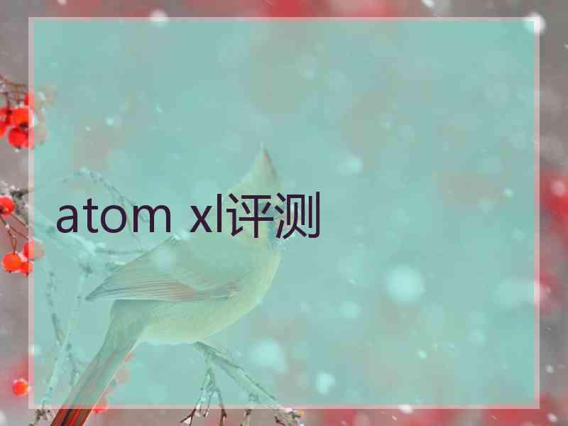 atom xl评测