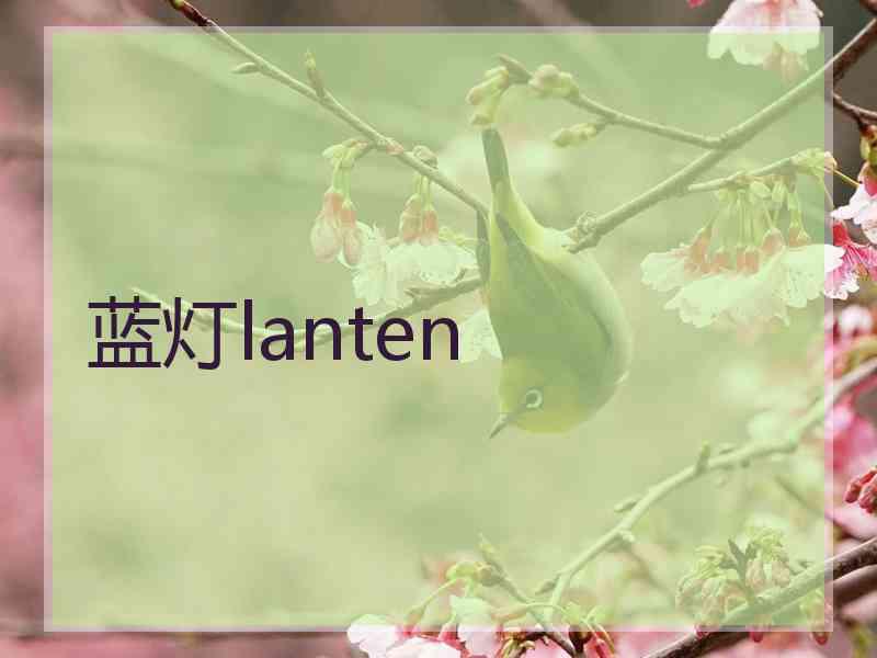 蓝灯lanten