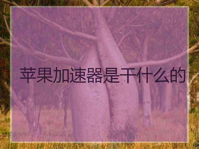 苹果加速器是干什么的