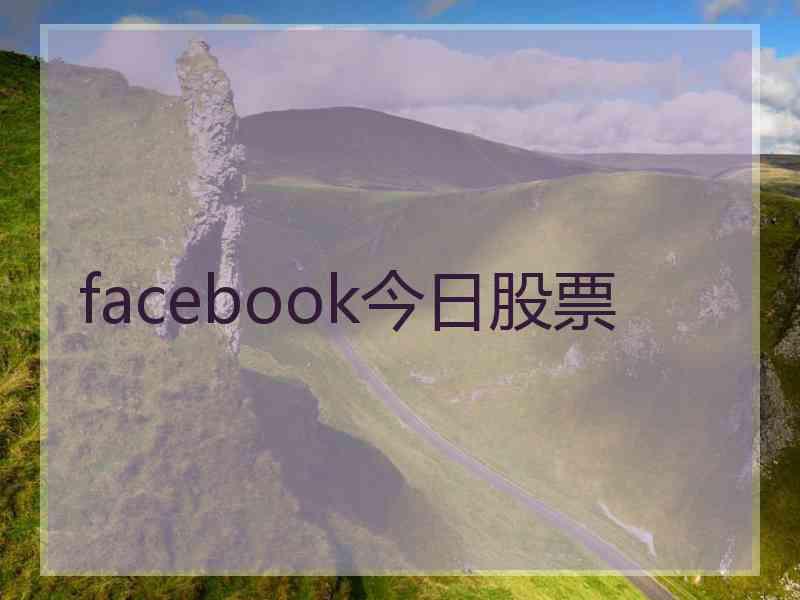 facebook今日股票