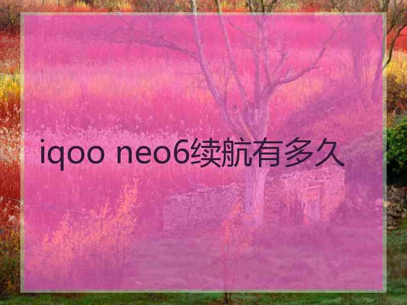 iqoo neo6续航有多久