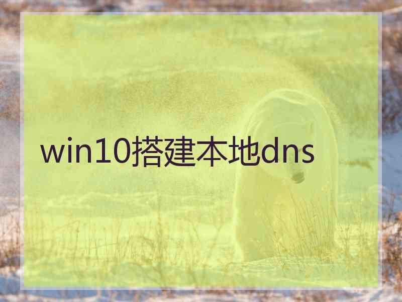 win10搭建本地dns