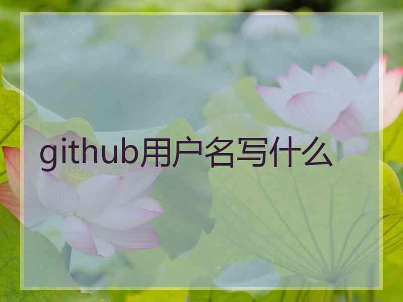 github用户名写什么