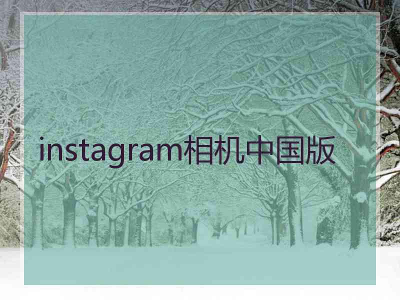 instagram相机中国版