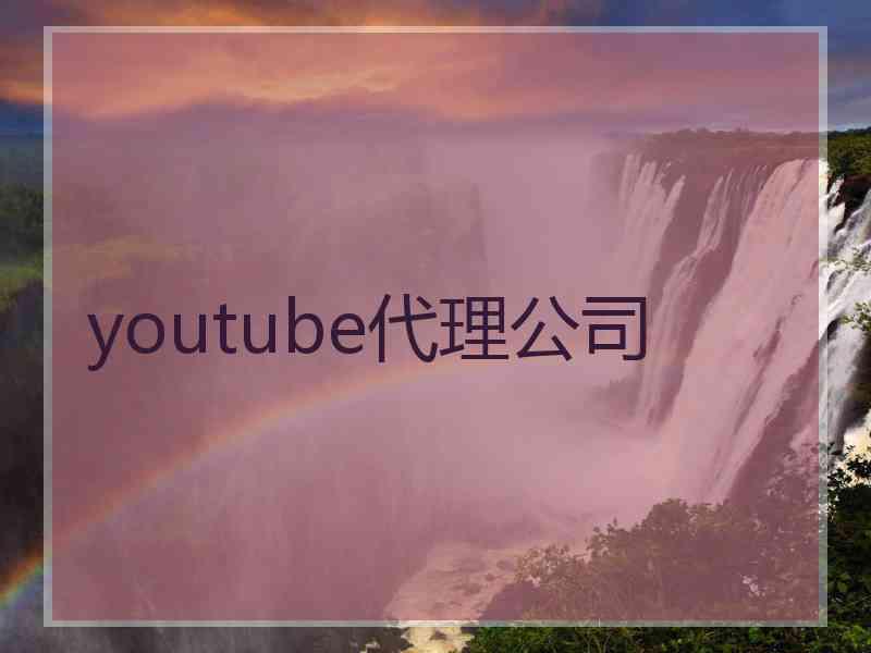 youtube代理公司