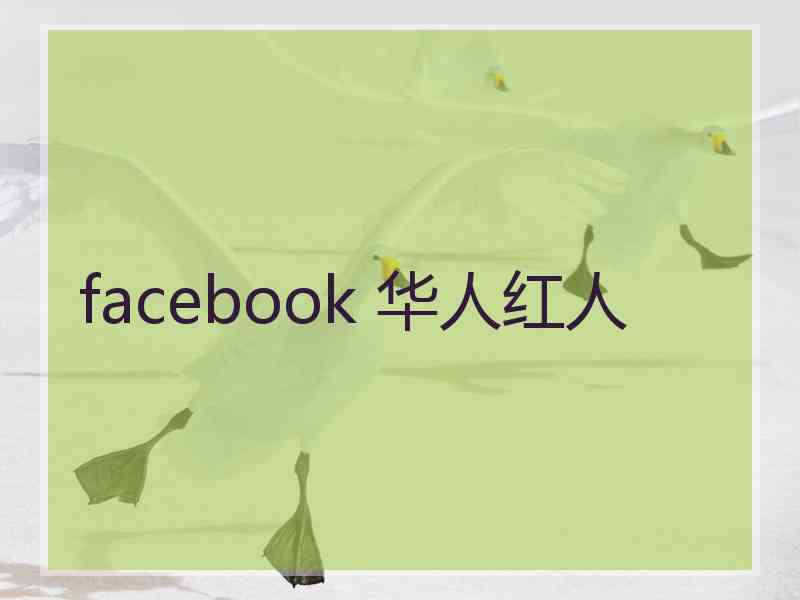 facebook 华人红人