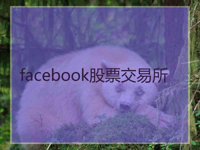 facebook股票交易所