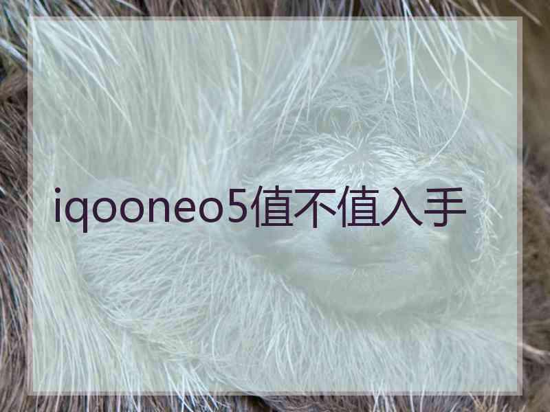 iqooneo5值不值入手