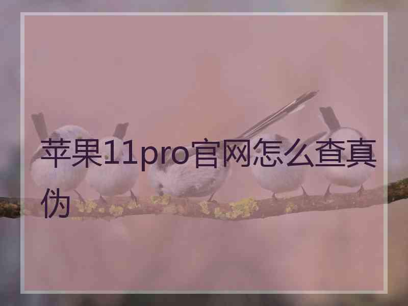 苹果11pro官网怎么查真伪