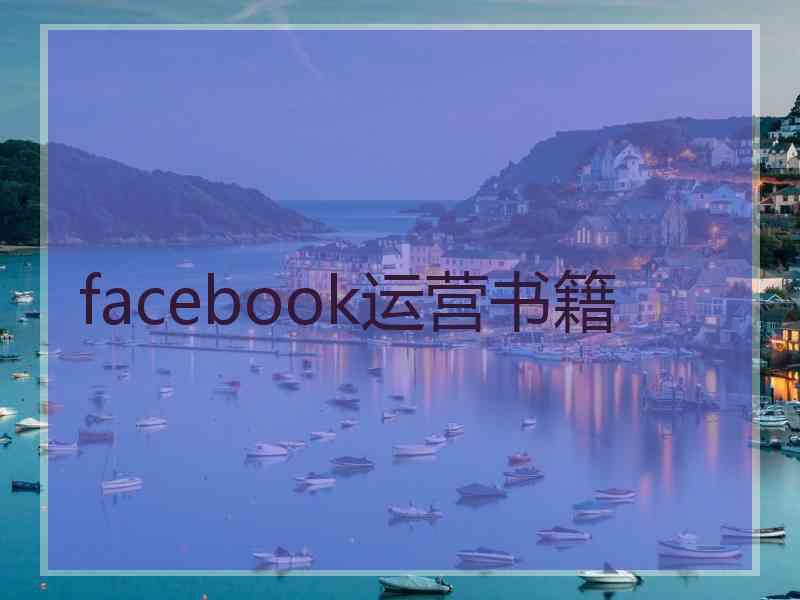 facebook运营书籍