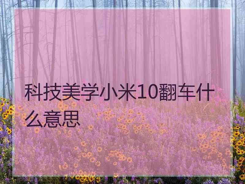 科技美学小米10翻车什么意思