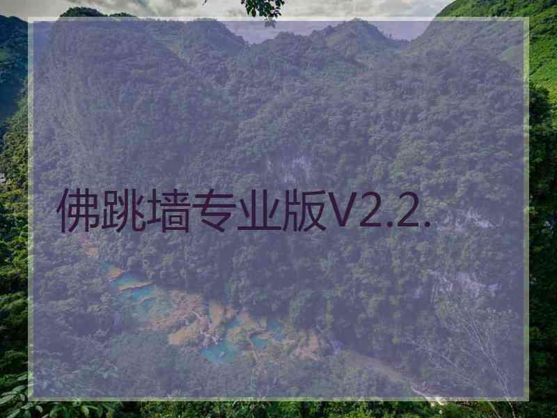 佛跳墙专业版V2.2.