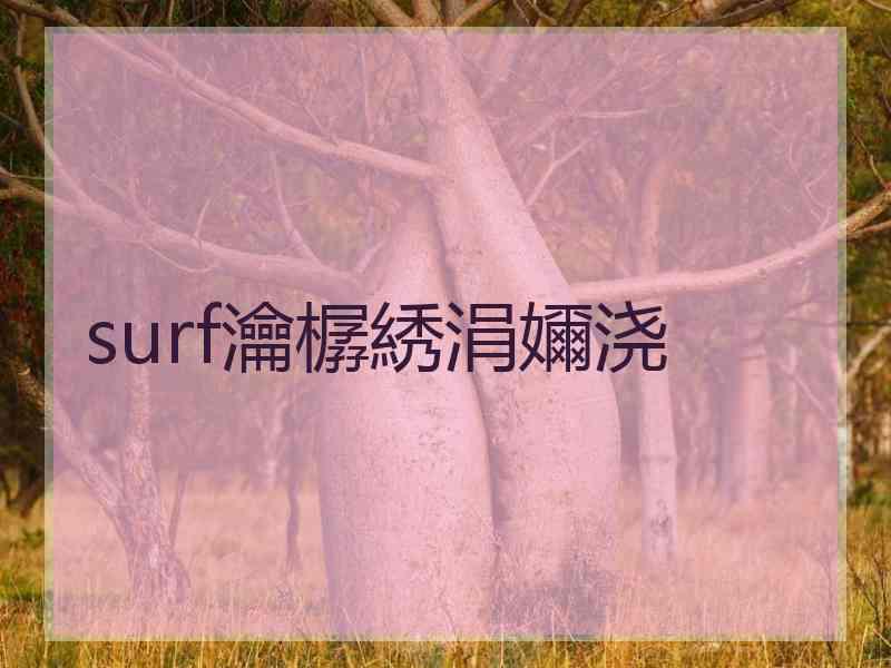 surf瀹樼綉涓嬭浇