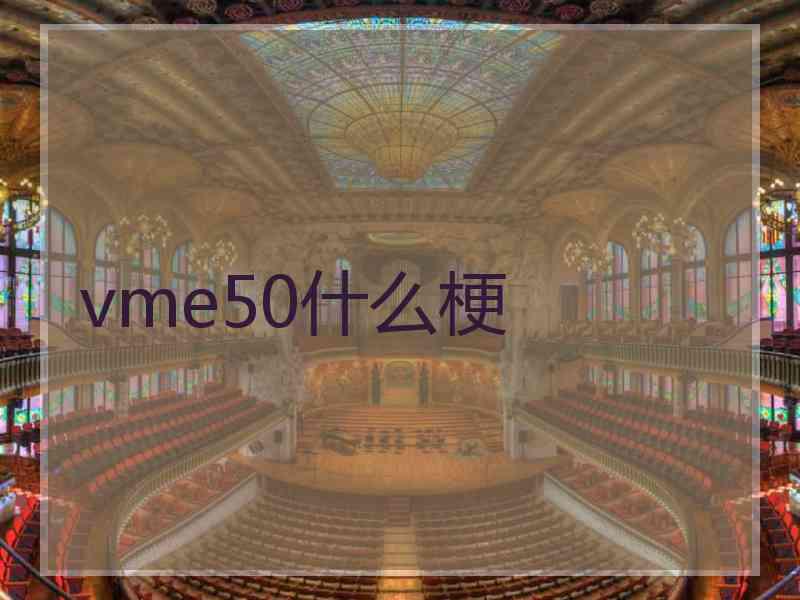 vme50什么梗