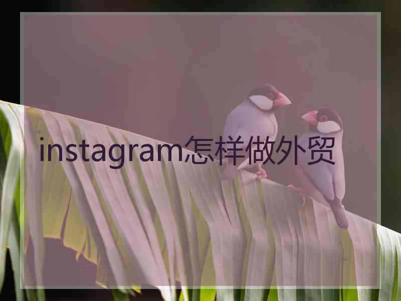 instagram怎样做外贸