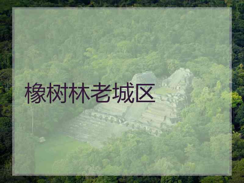 橡树林老城区