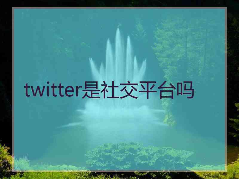 twitter是社交平台吗