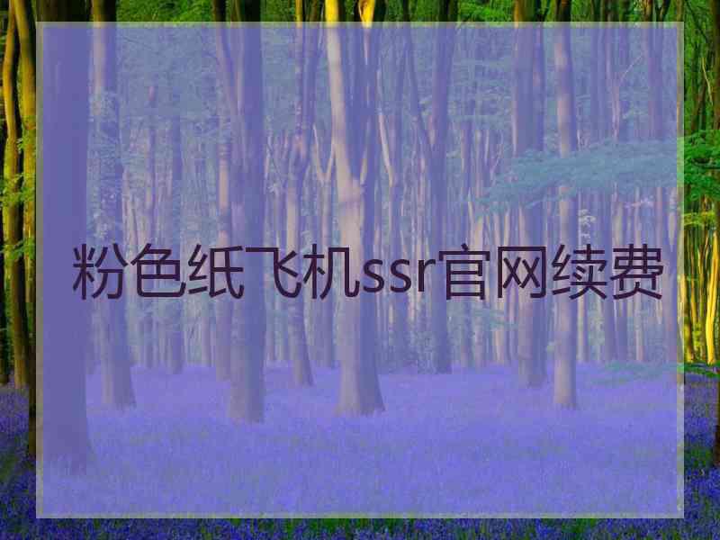 粉色纸飞机ssr官网续费