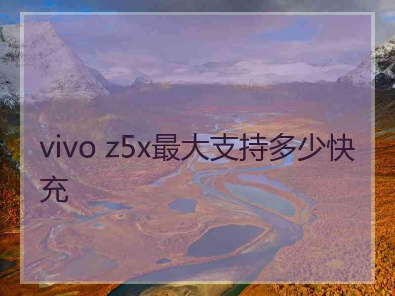 vivo z5x最大支持多少快充