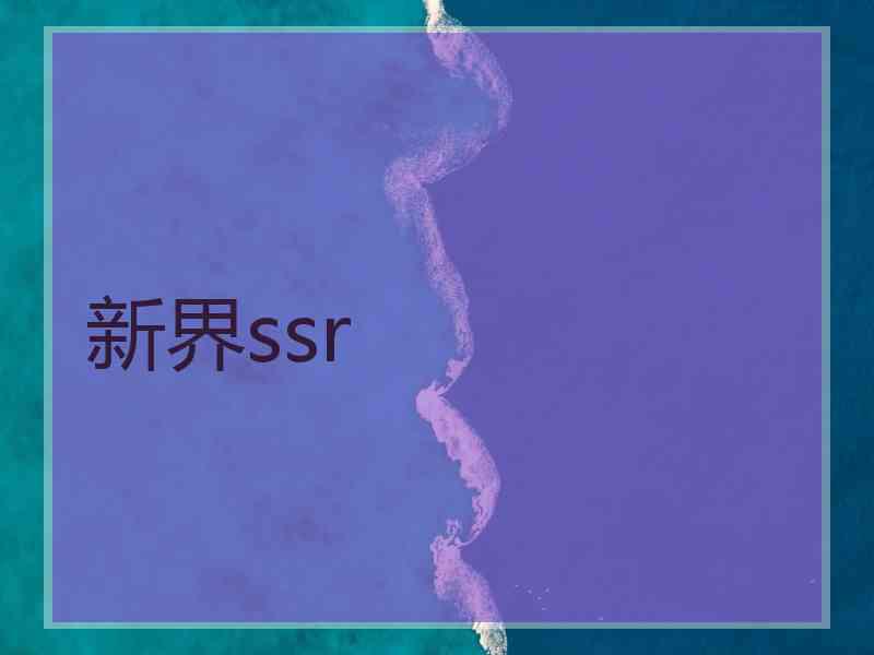 新界ssr