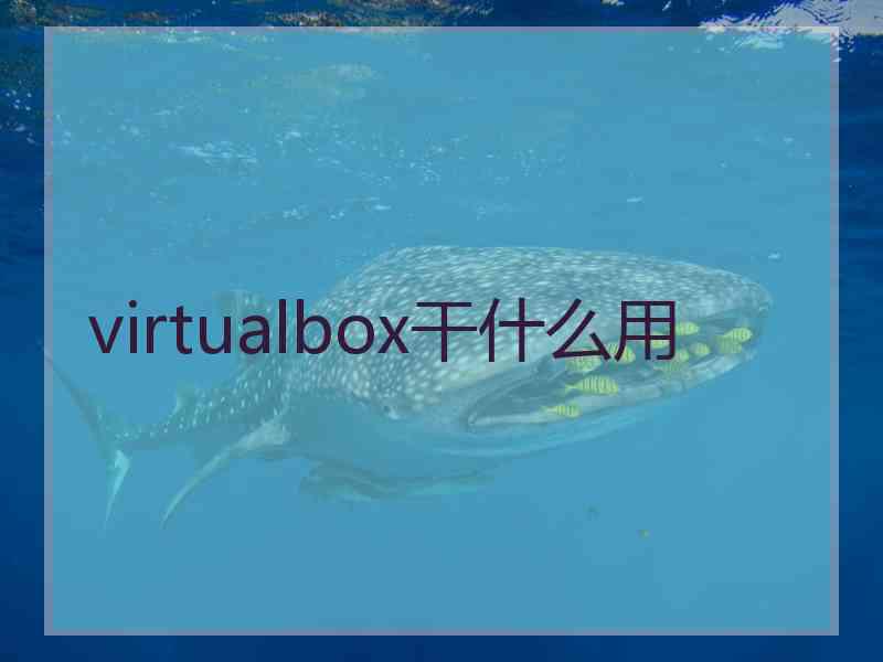 virtualbox干什么用