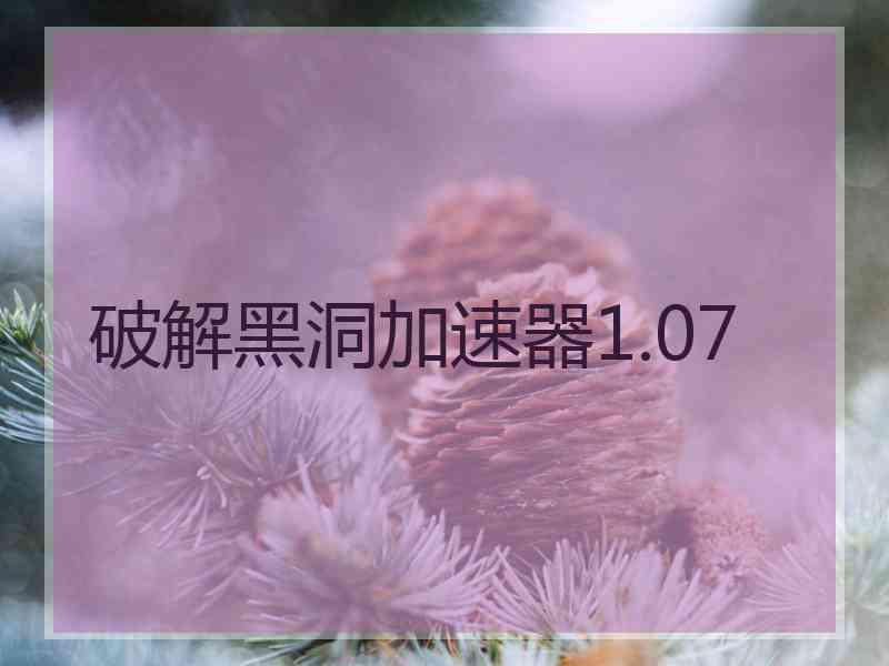 破解黑洞加速器1.07