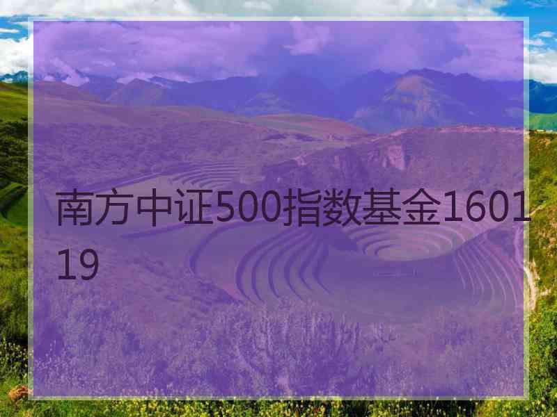 南方中证500指数基金160119