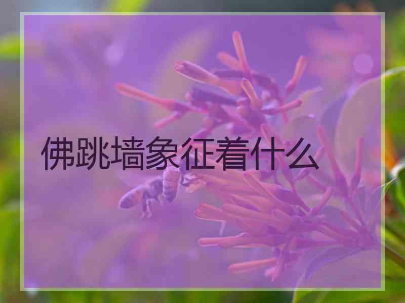 佛跳墙象征着什么