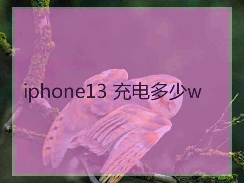 iphone13 充电多少w