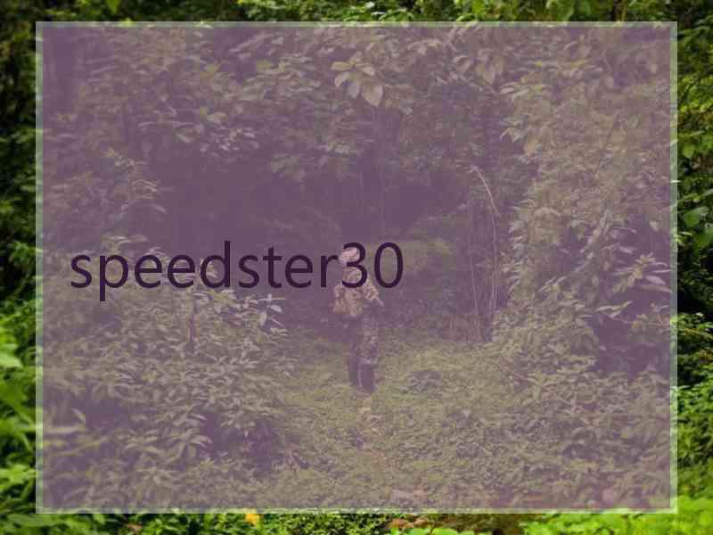 speedster30